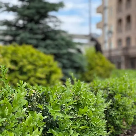 Arkadia Elegia * Odesa