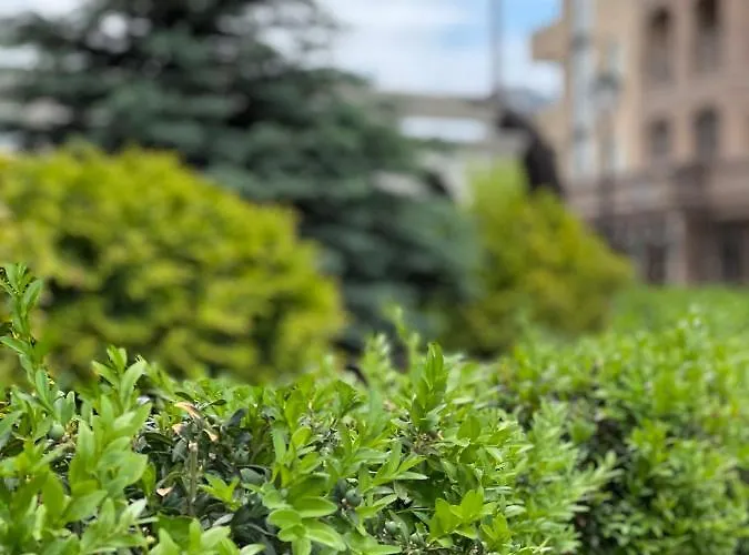 Arkadia Elegia * Odessa